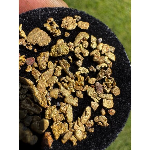 Gold Nuggets from California - 4.36 grams - Picture 2 of 6